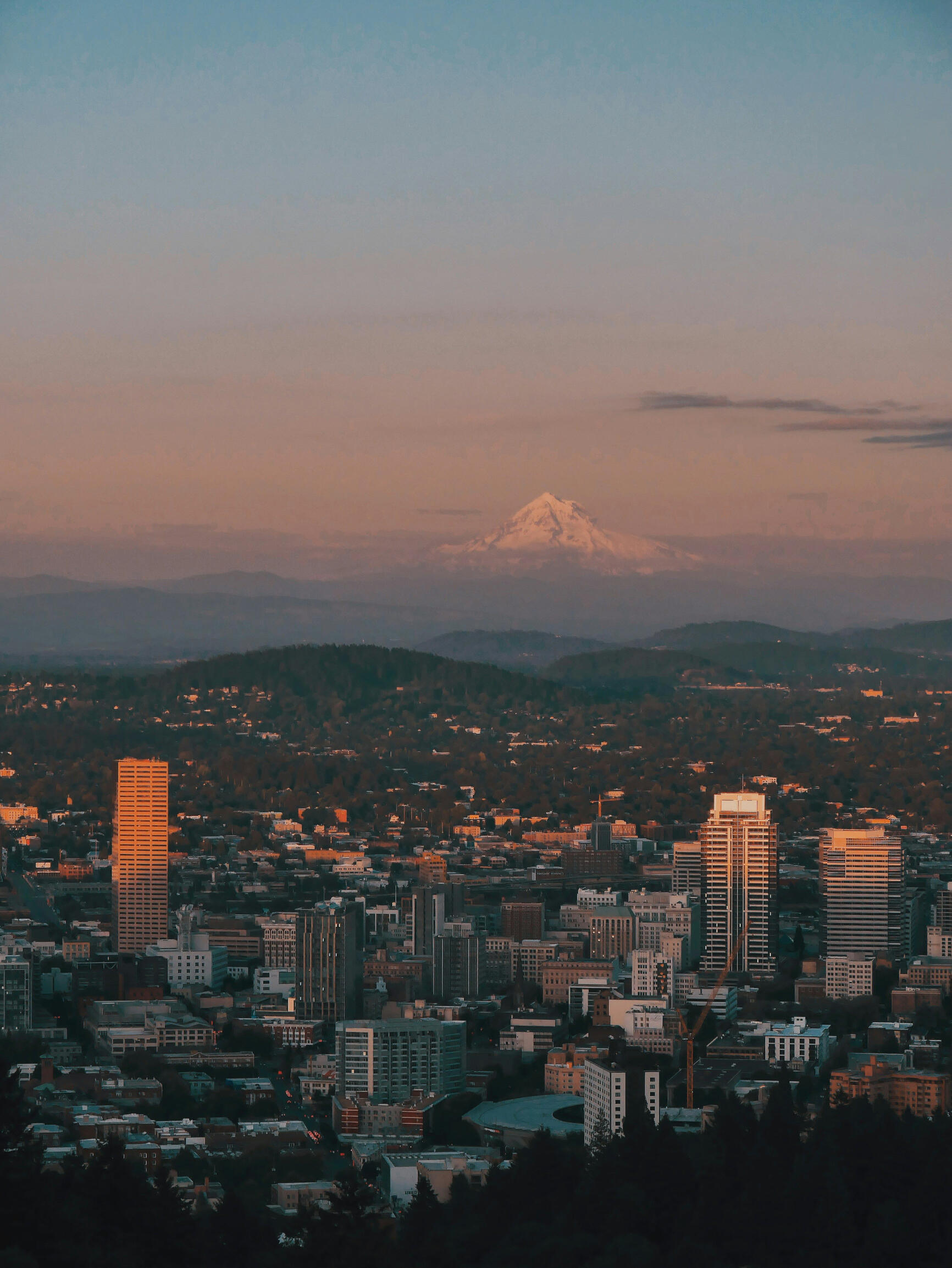 View of mt hood and downtown portland